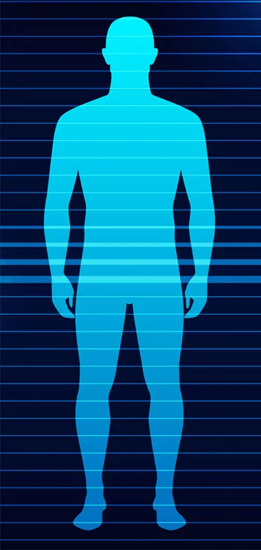 Body composition Body composition