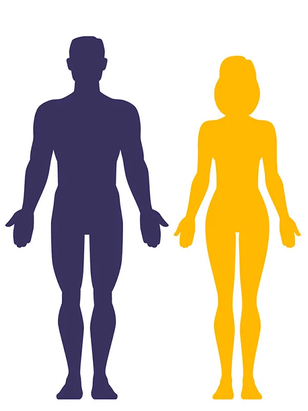 Body composition Body composition